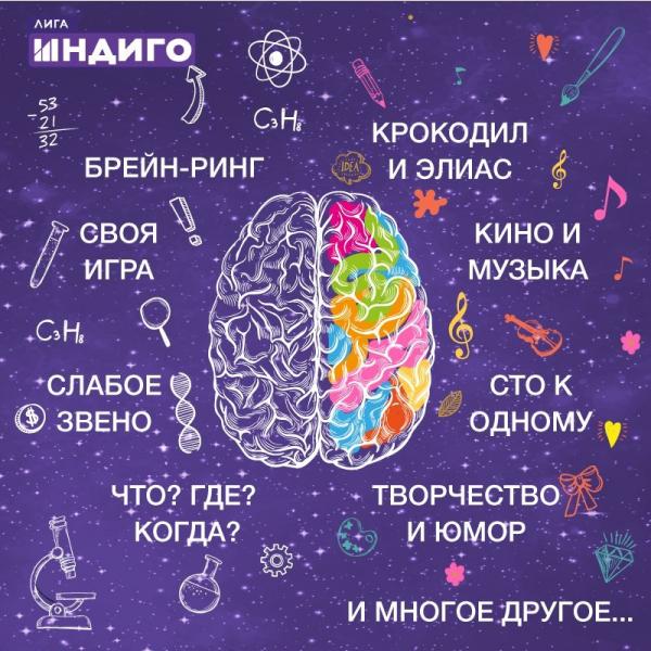 Организатор Лига Индиго